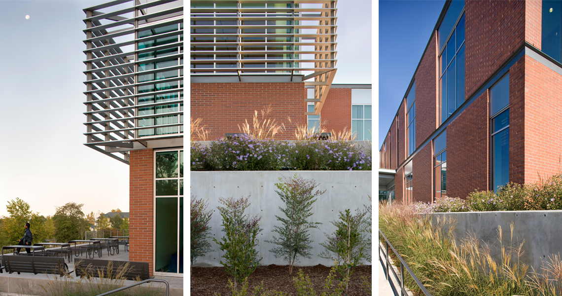 Penguin Student Union