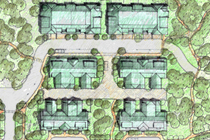 Trillium Woods