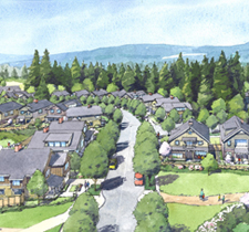 Taralon Development