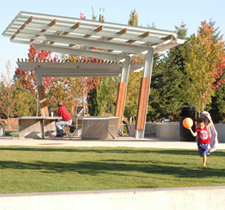 Wilsonville Park Shelters