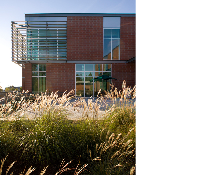 Penguin Student Union
